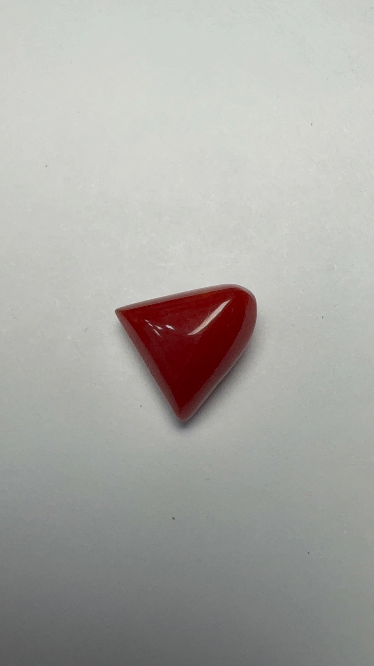 Red Coral – 5.90 Carat – Italy – Triangular