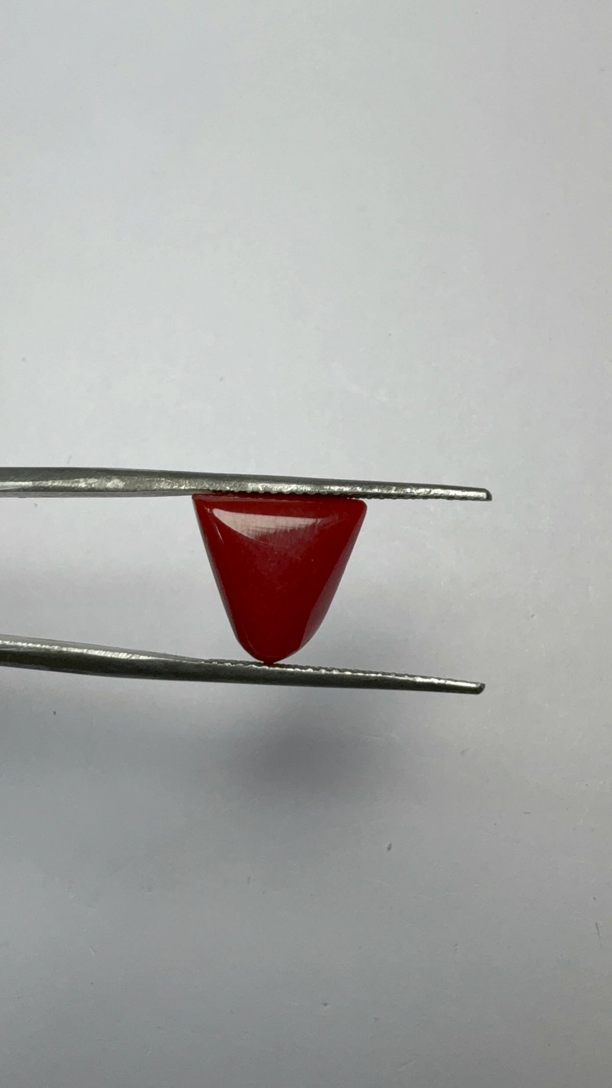 Red Coral – 5.90 Carat – Italy – Triangular