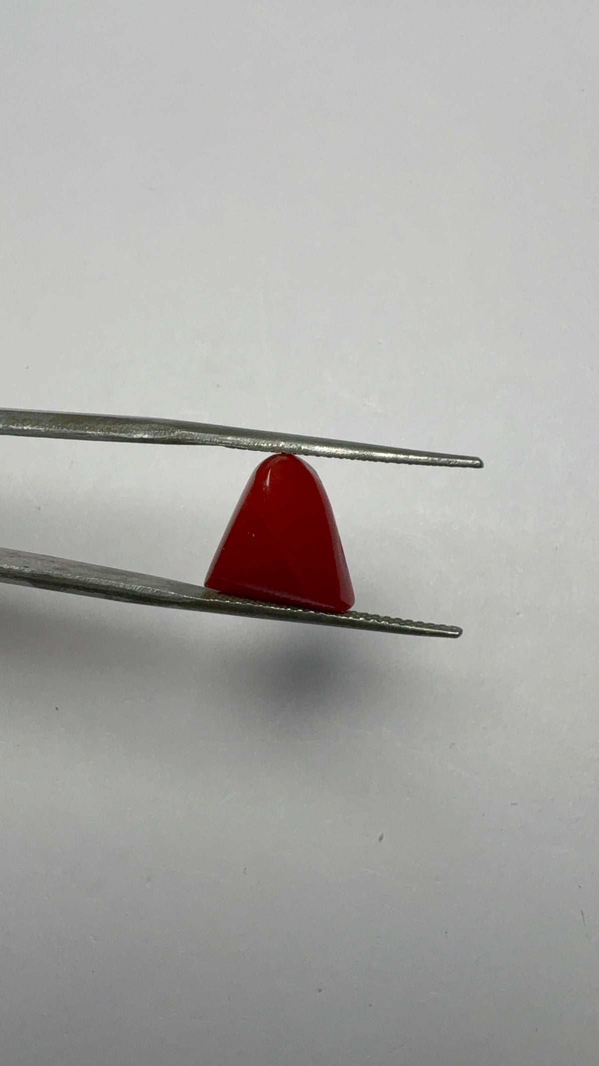 Red Coral – 5.90 Carat – Italy – Triangular