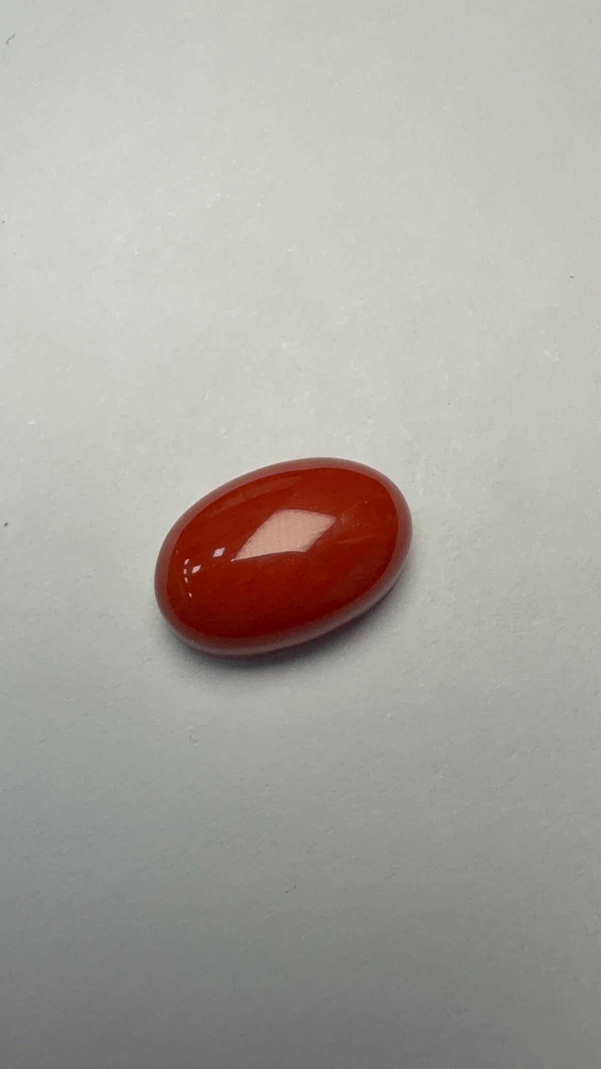 Red Coral 6.00 carat COR-1 front view