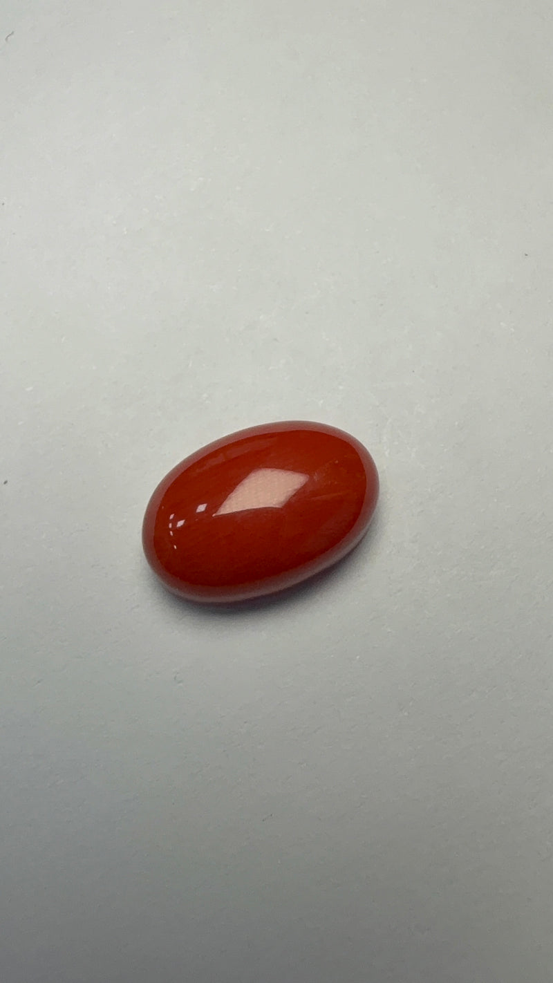 Red Coral – 6.00 Carat – Japan – Oval