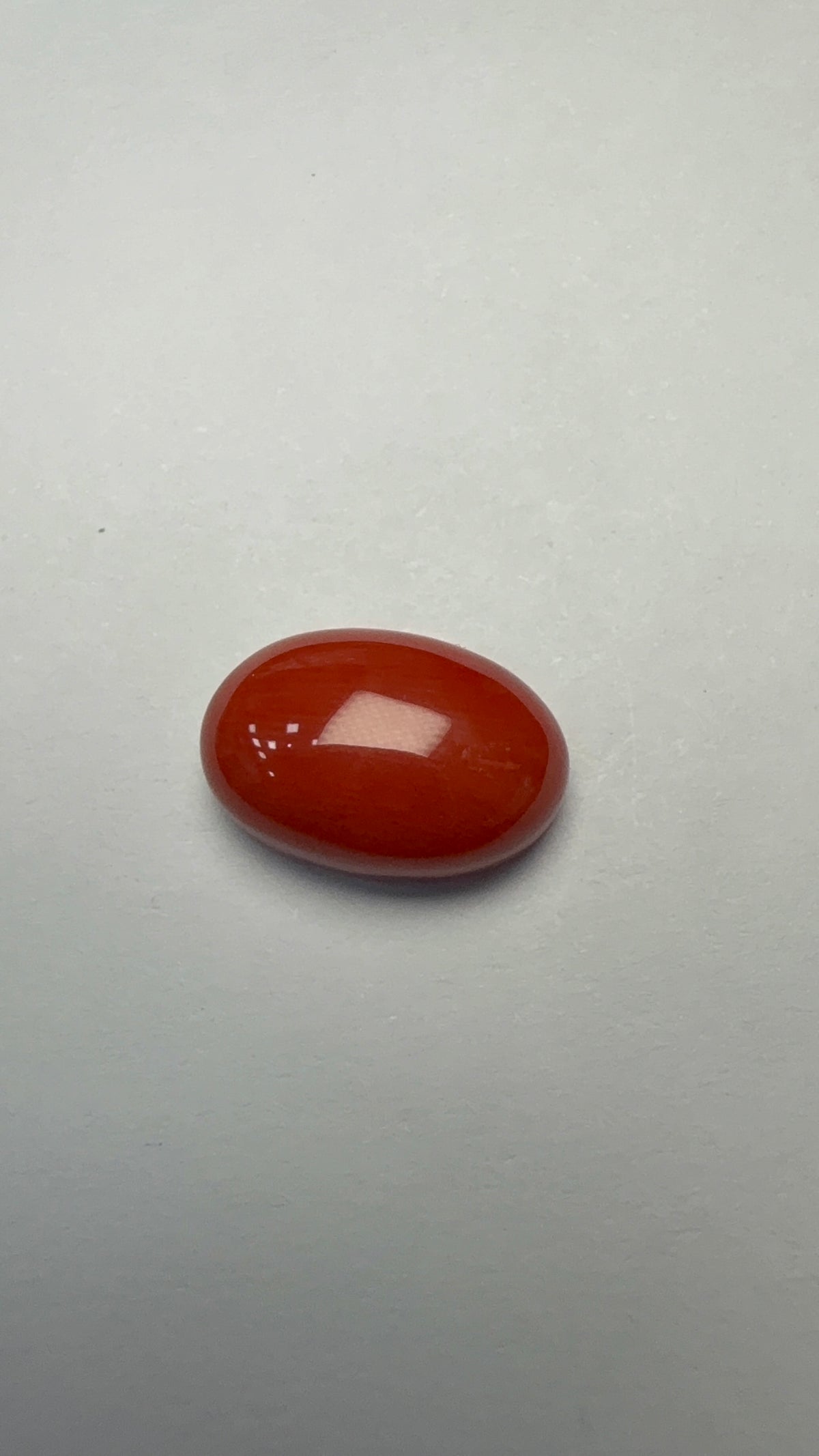 Red Coral 6.00 carat COR-1 face-up view