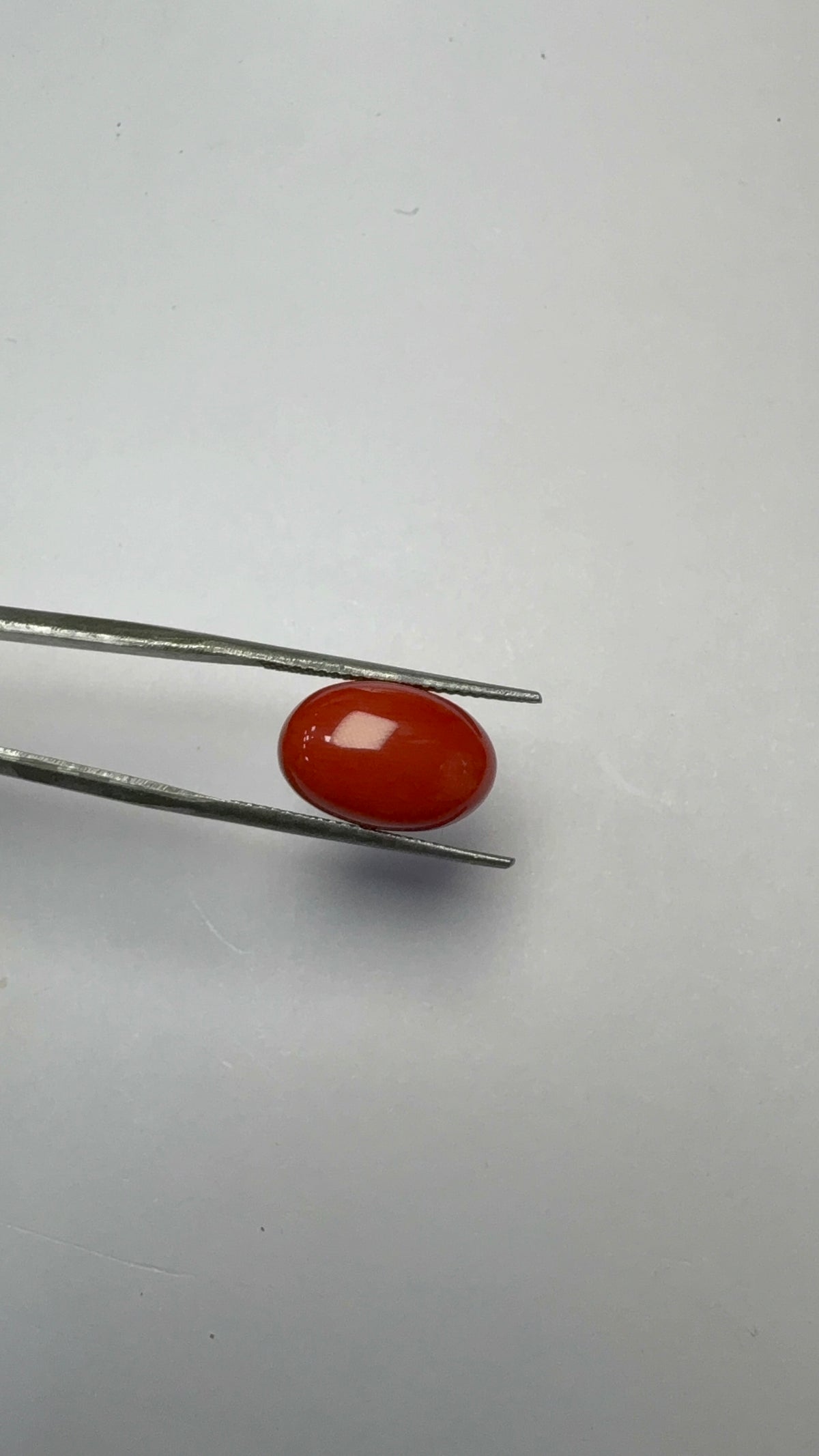 Red Coral 6.00 carat COR-1 close view