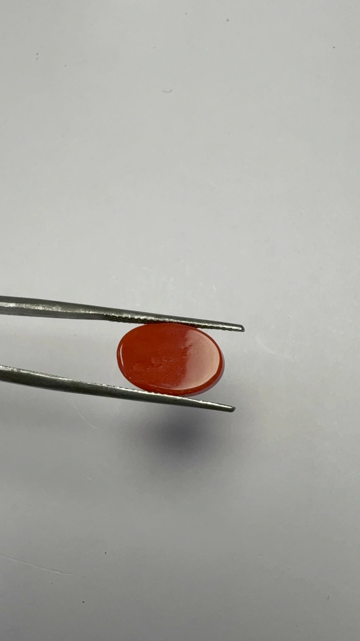 Red Coral 6.00 carat COR-1 angled view