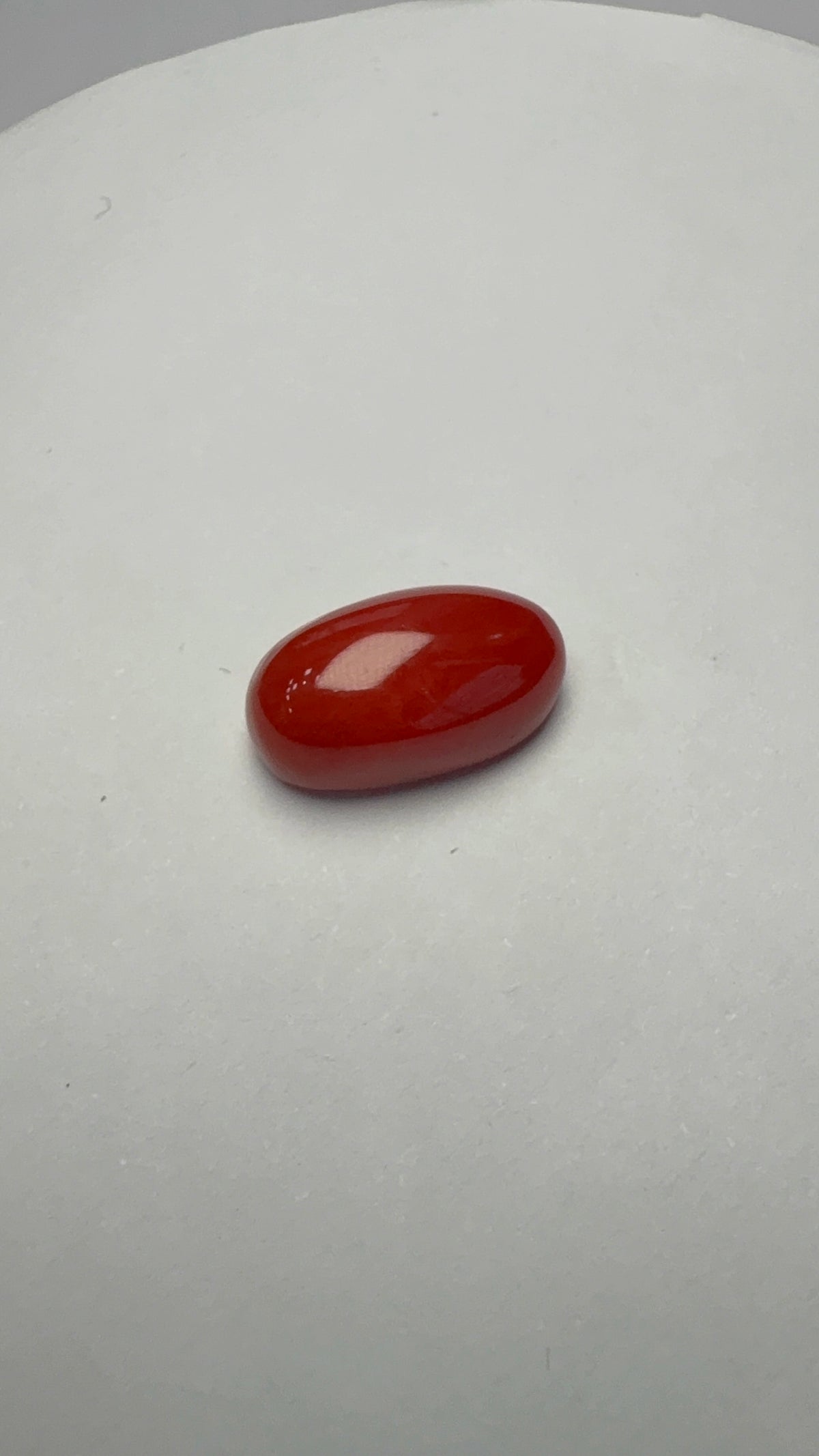 Red Coral 5.12 carat COR-100 front view