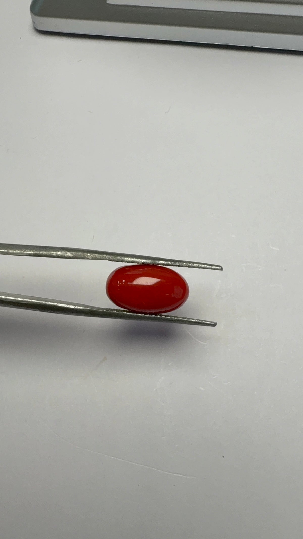 Red Coral 5.12 carat COR-100 angled view