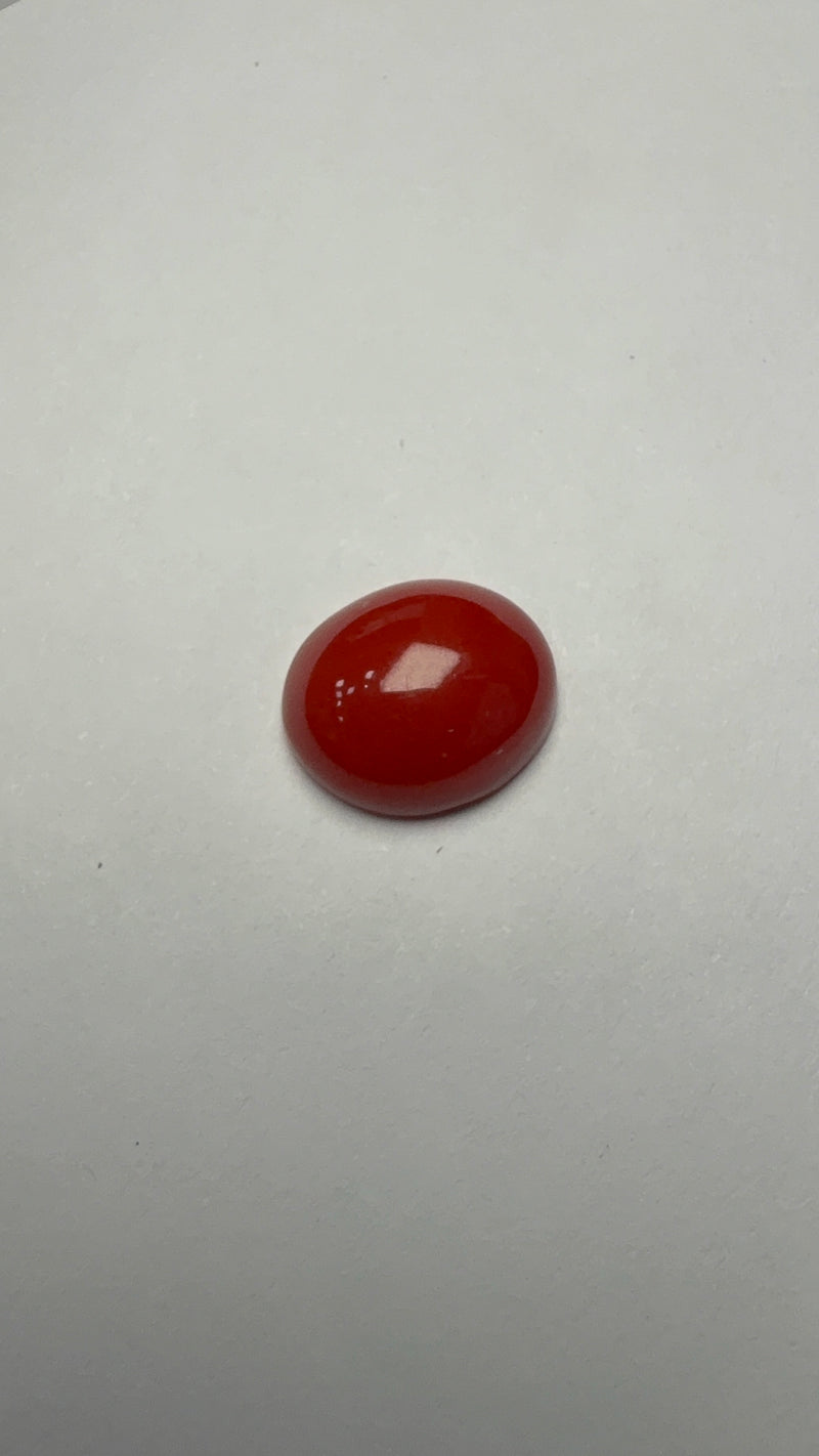 Red Coral – 4.81 Carat – Japan – Oval