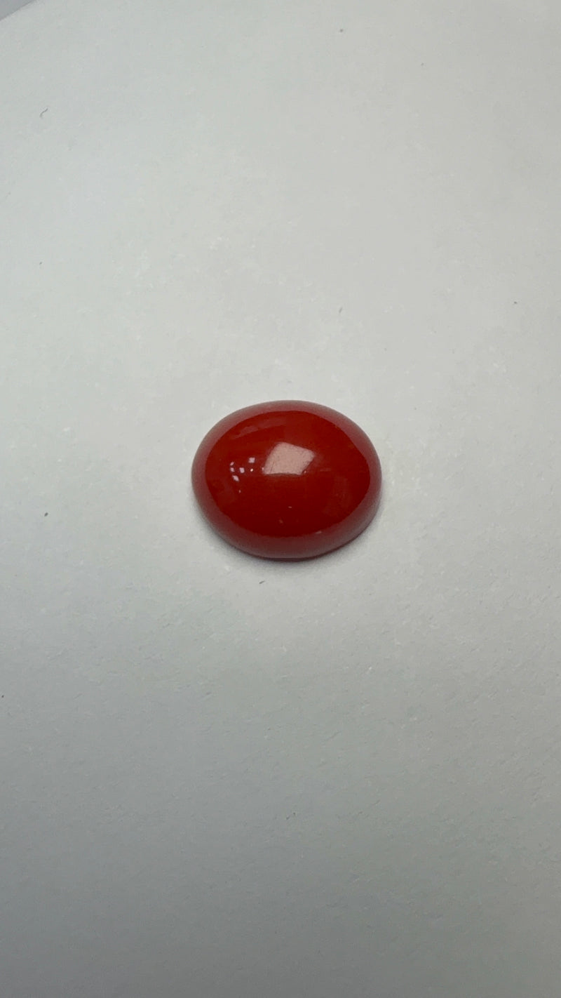 Red Coral – 4.81 Carat – Japan – Oval