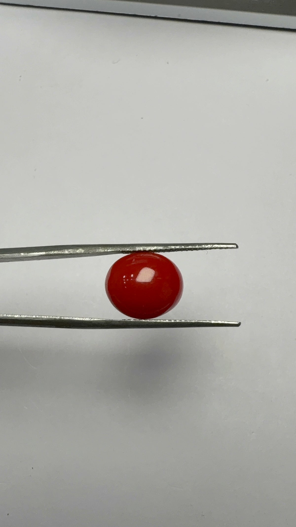 Red Coral 4.81 carat COR-108 close view