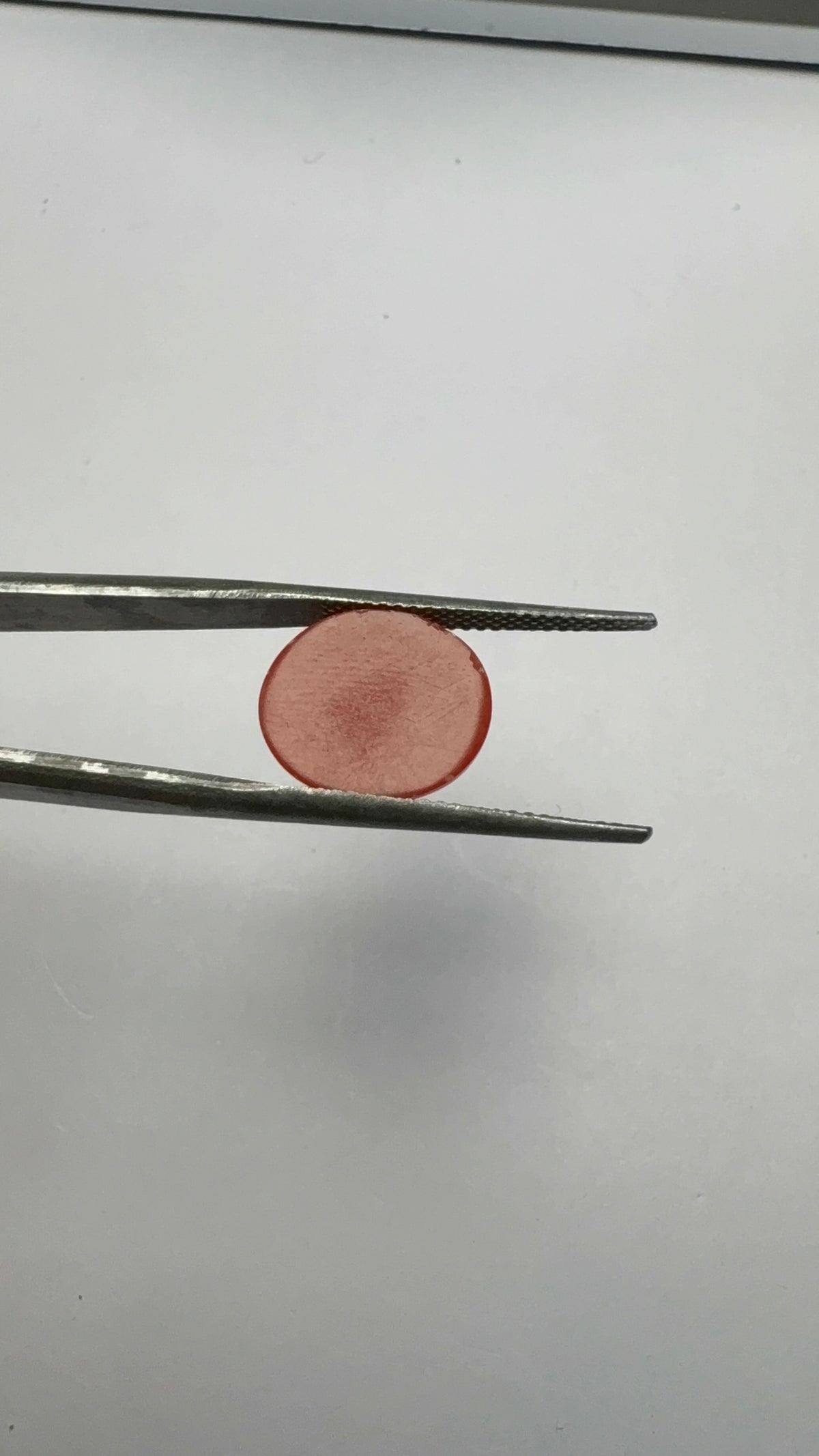 Red Coral 4.81 carat COR-108 angled view