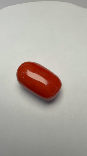 Red Coral 18.23 carat COR-110 front view