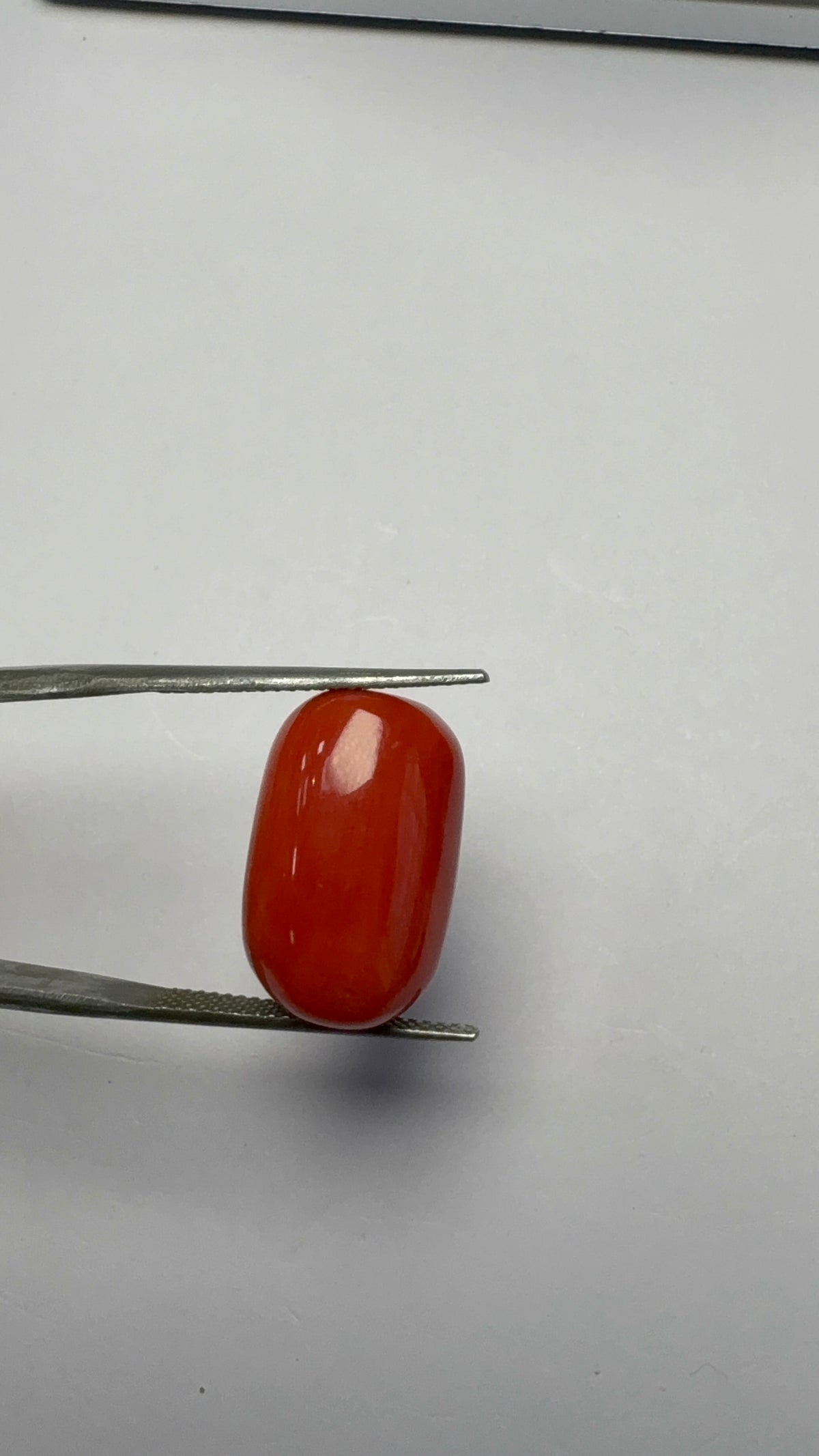 Red Coral 18.23 carat COR-110 close view