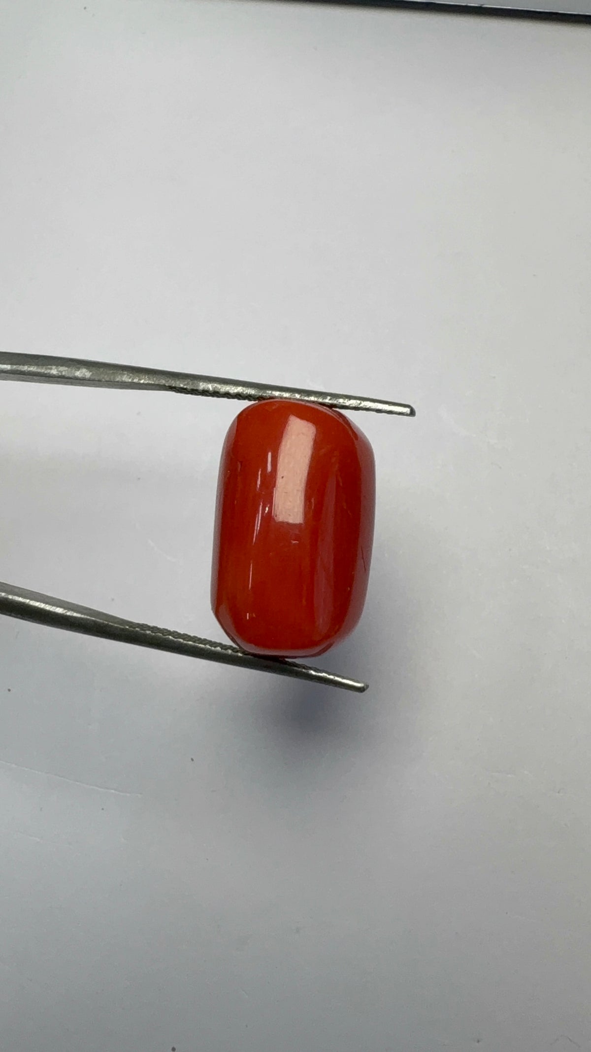 Red Coral 18.23 carat COR-110 angled view