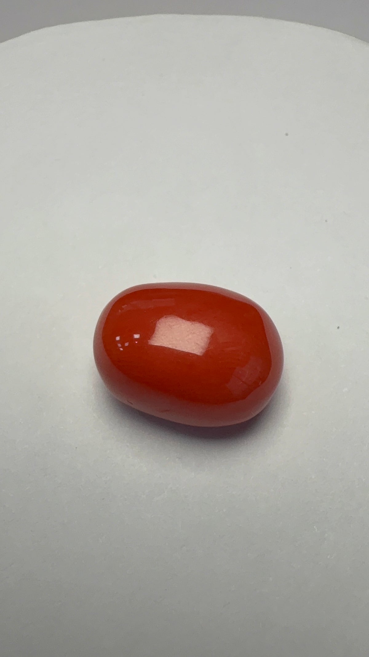 Red Coral 12.64 carat COR-111 front view