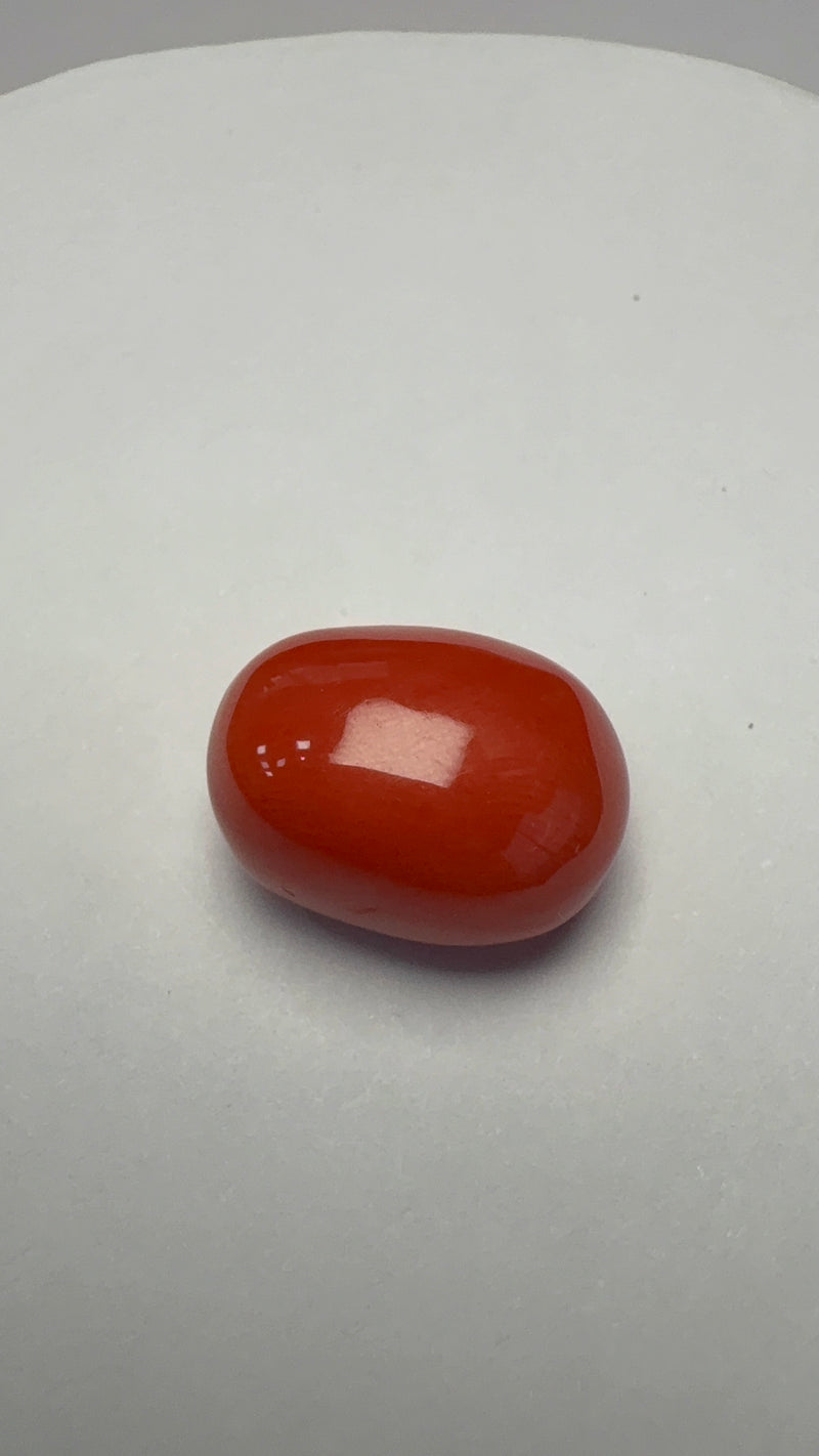 Red Coral – 12.64 Carat – Italy – Oval