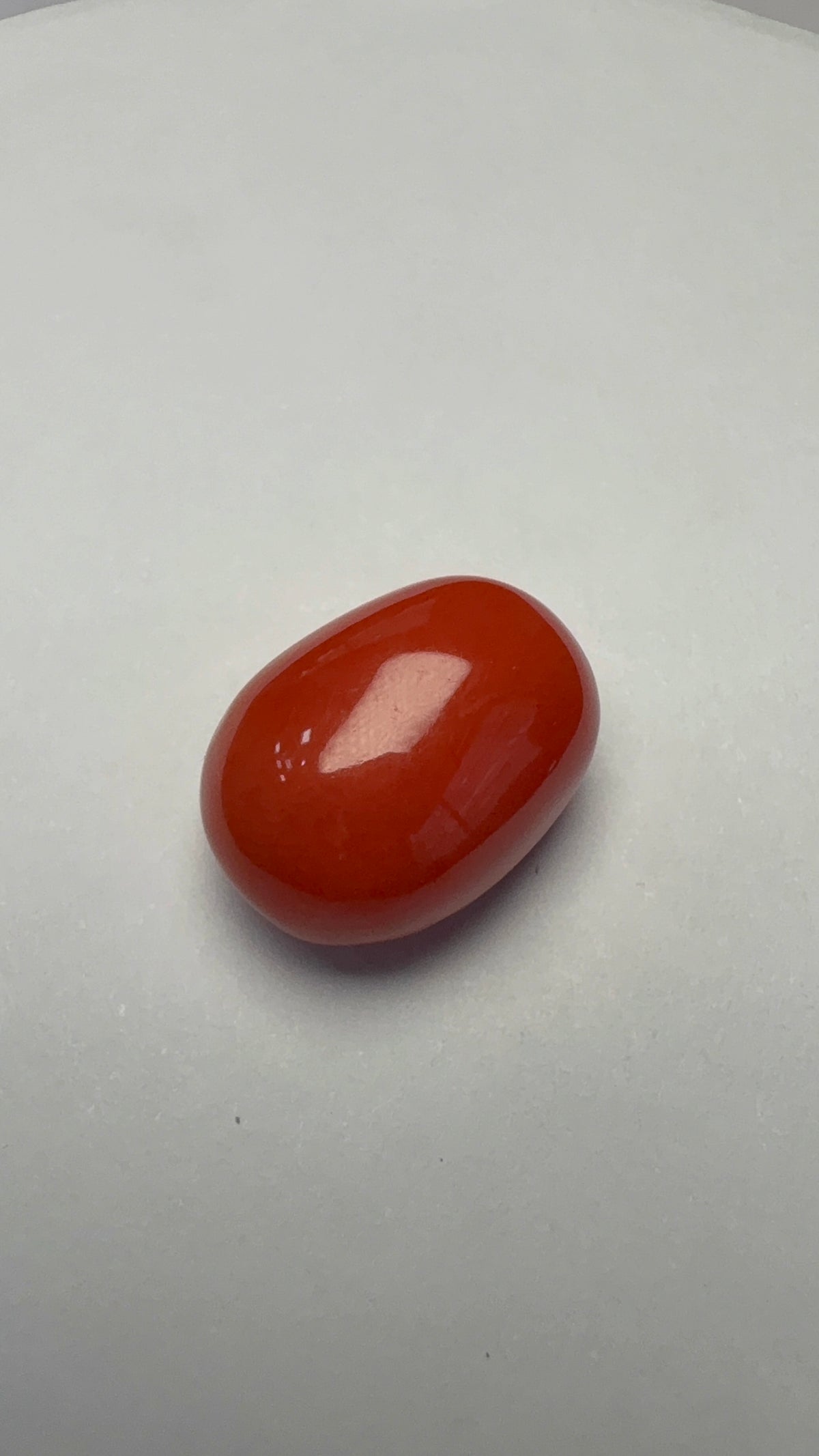 Red Coral 12.64 carat COR-111 face-up view
