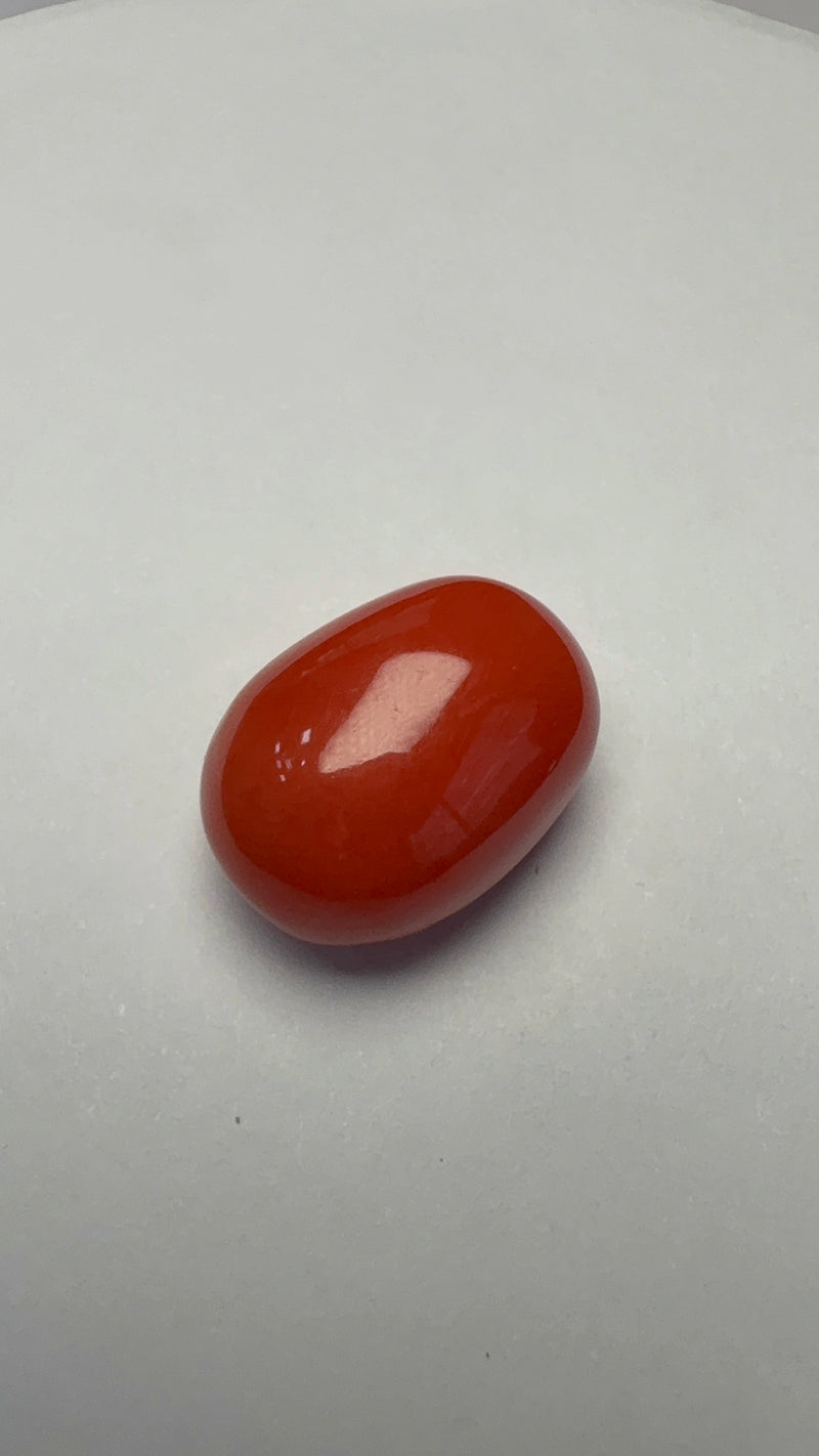 Red Coral – 12.64 Carat – Italy – Oval