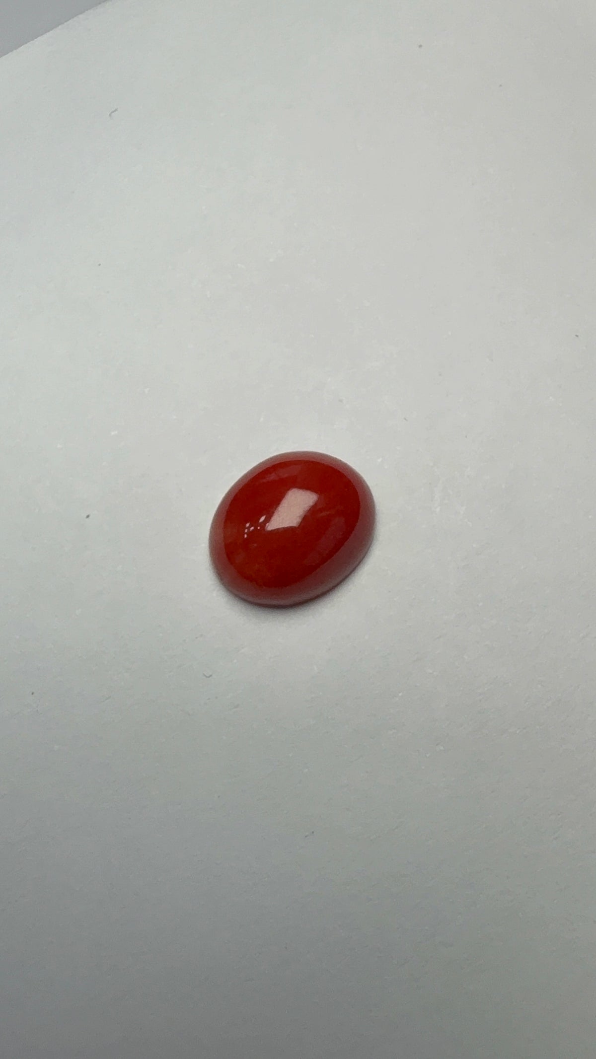 Red Coral 3.55 carat COR-122 front view