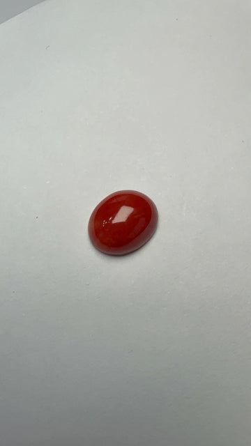 Red Coral 3.55 carat COR-122 front view