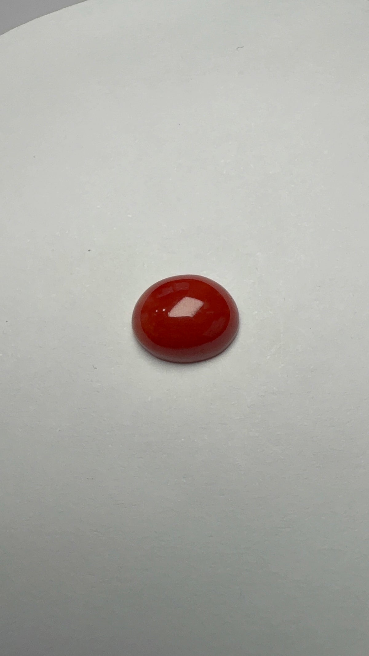 Red Coral 3.55 carat COR-122 face-up view