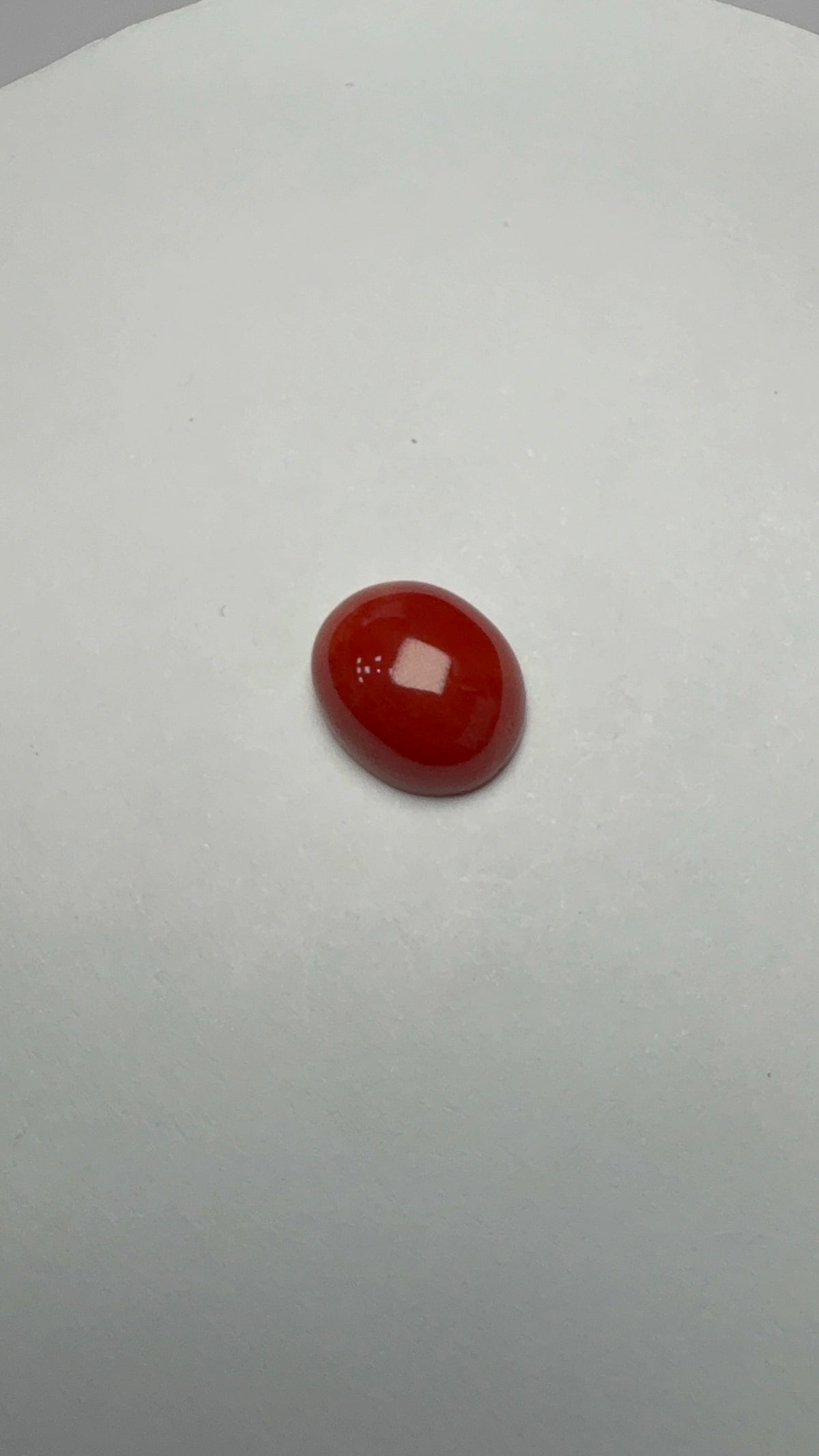 Red Coral 3.55 carat COR-122 alternate face-up view