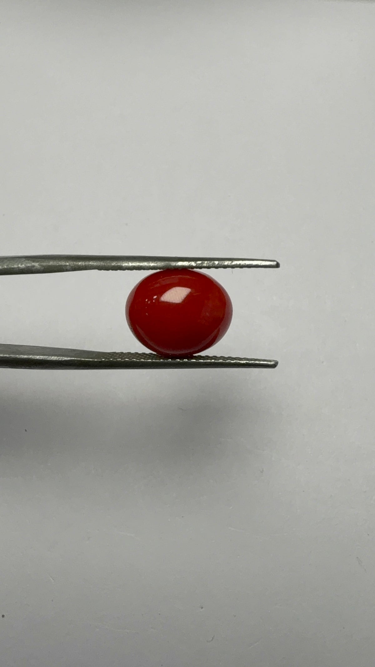 Red Coral 3.55 carat COR-122 close view