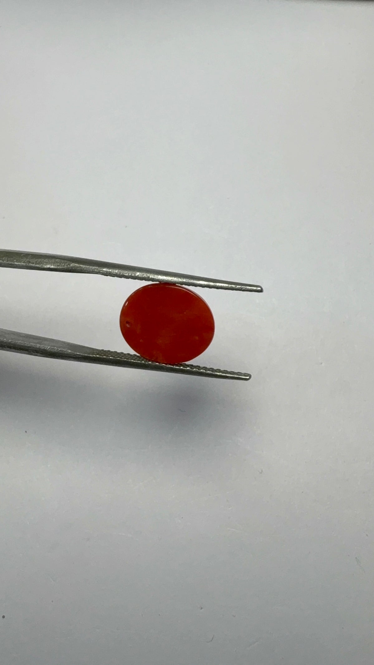 Red Coral 3.55 carat COR-122 angled view