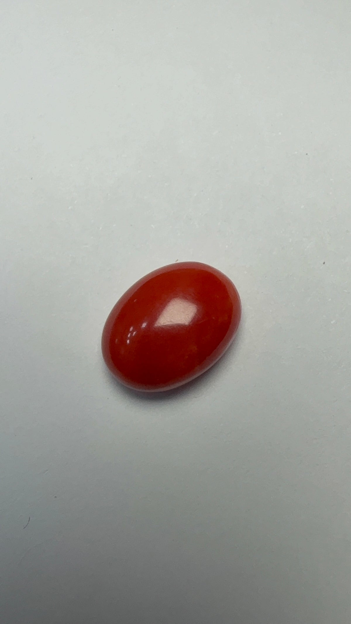 Red Coral 7.12 carat COR-132 front view