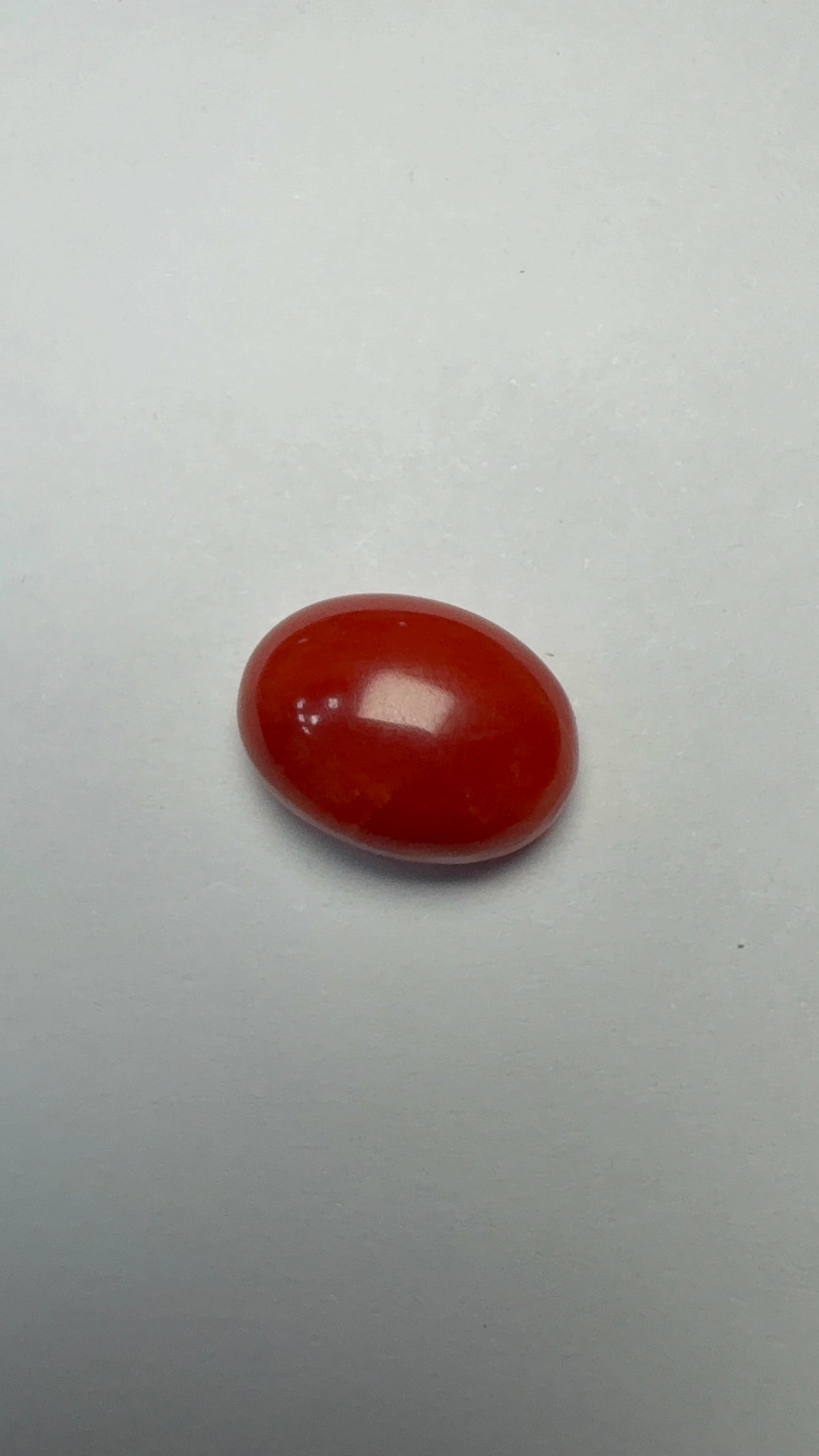 Red Coral 7.12 carat COR-132 face-up view