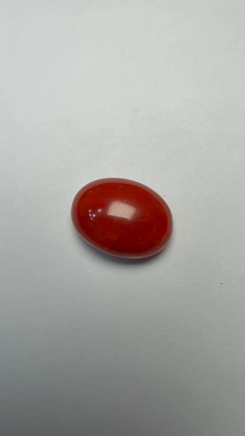 Red Coral – 7.12 Carat – Japan – Oval