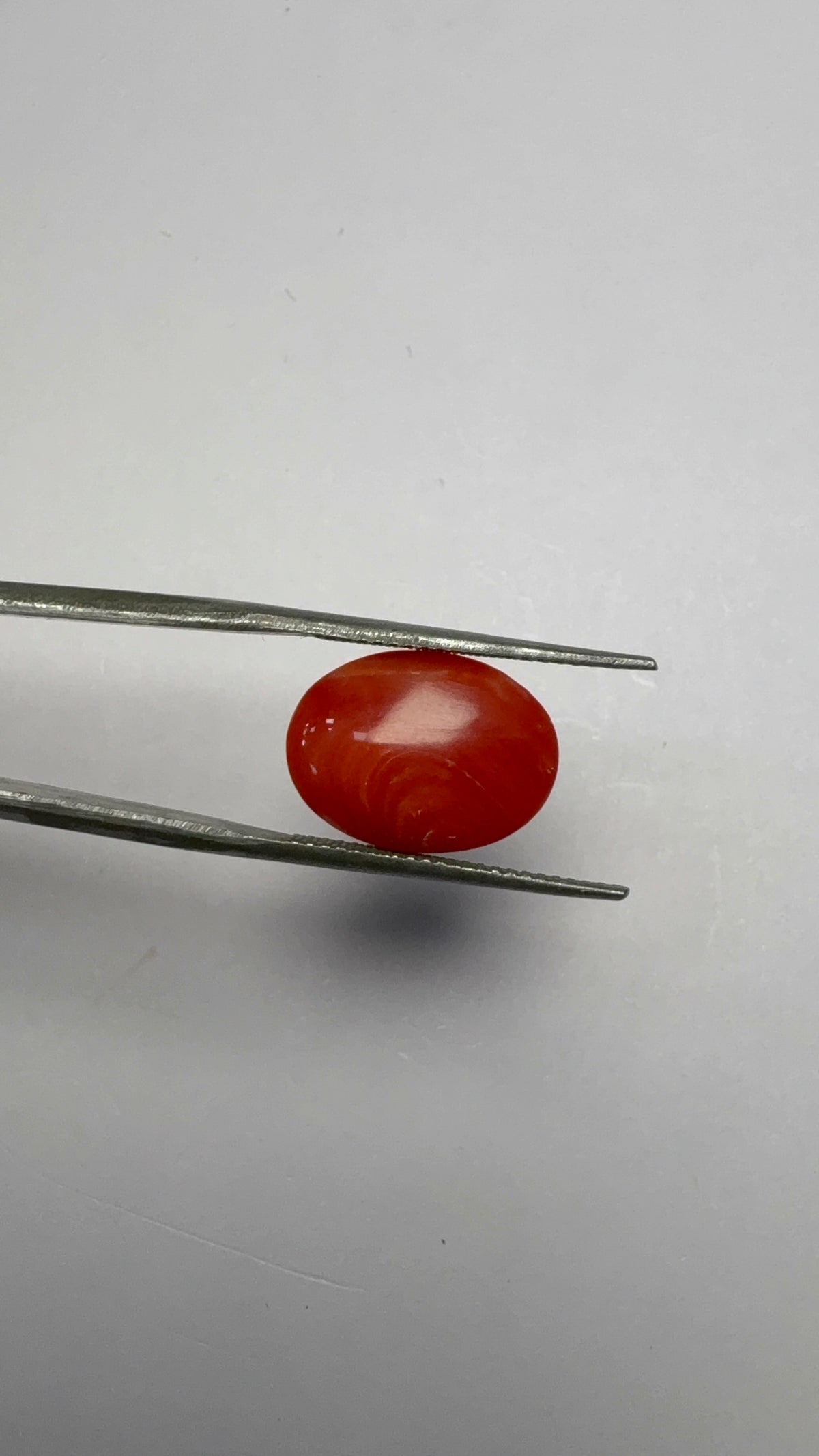 Red Coral 7.12 carat COR-132 angled view