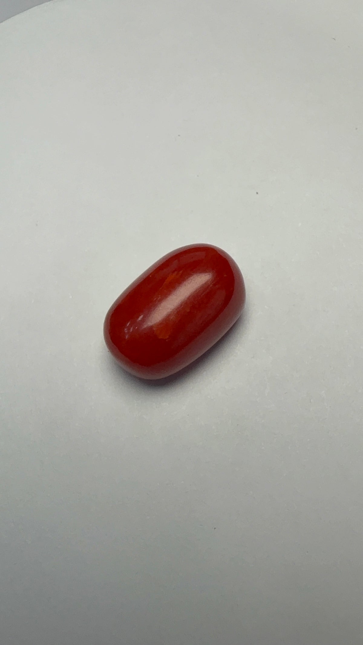 Red Coral 9.39 carat COR-138 front view