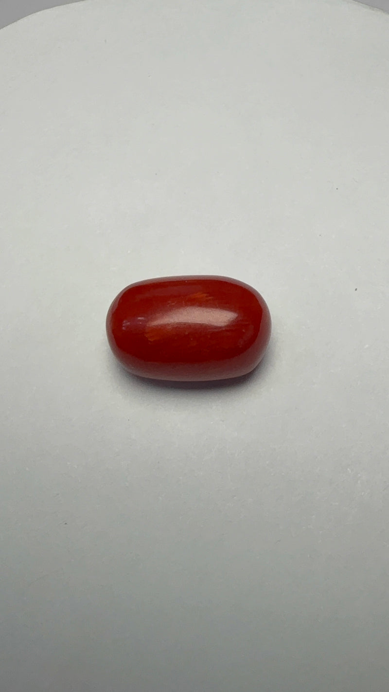 Red Coral – 9.39 Carat – Italy – Oval