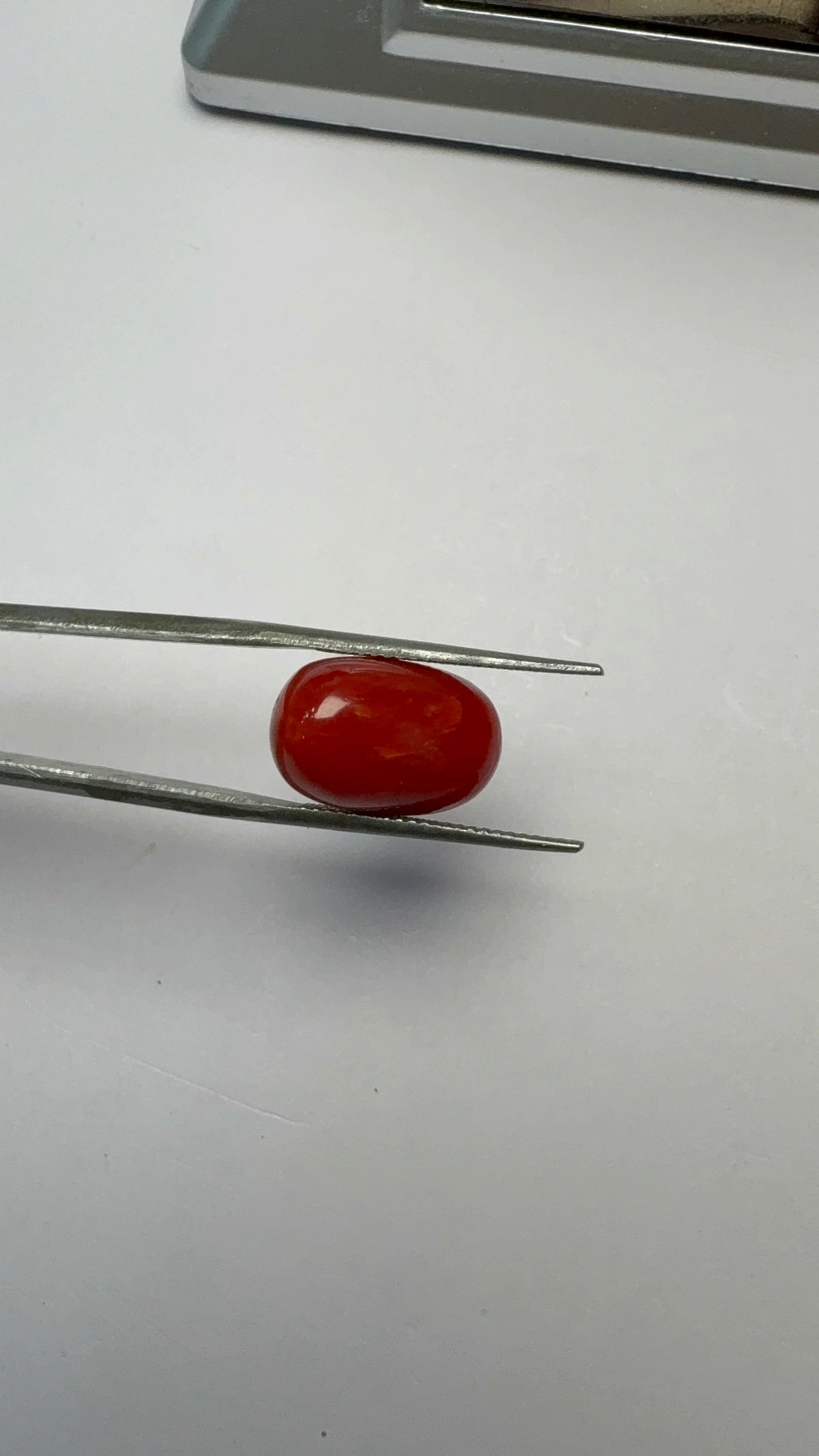 Red Coral 9.39 carat COR-138 close view