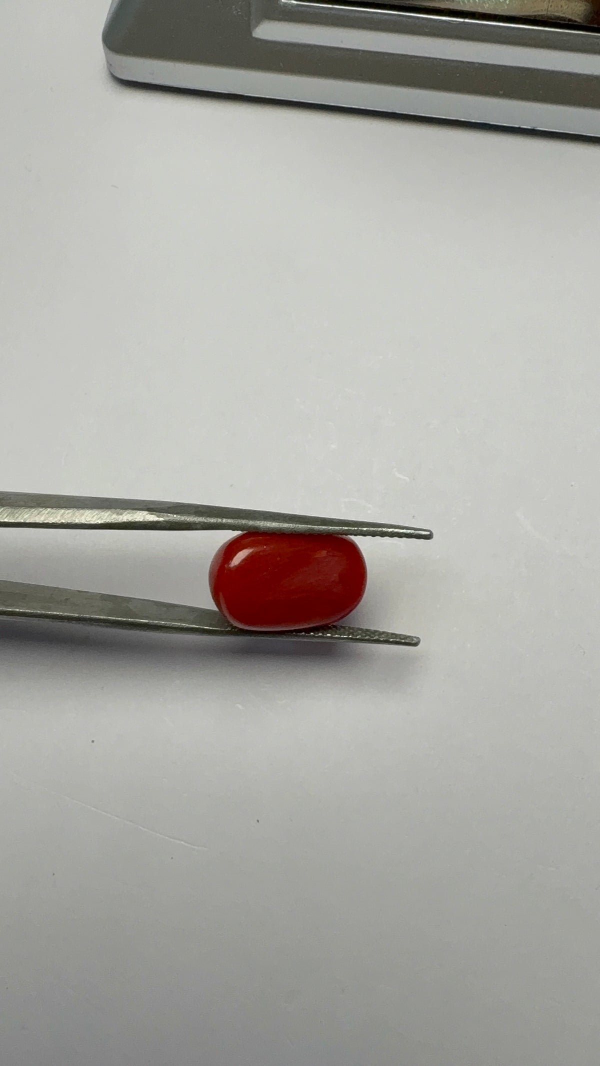 Red Coral 9.39 carat COR-138 angled view