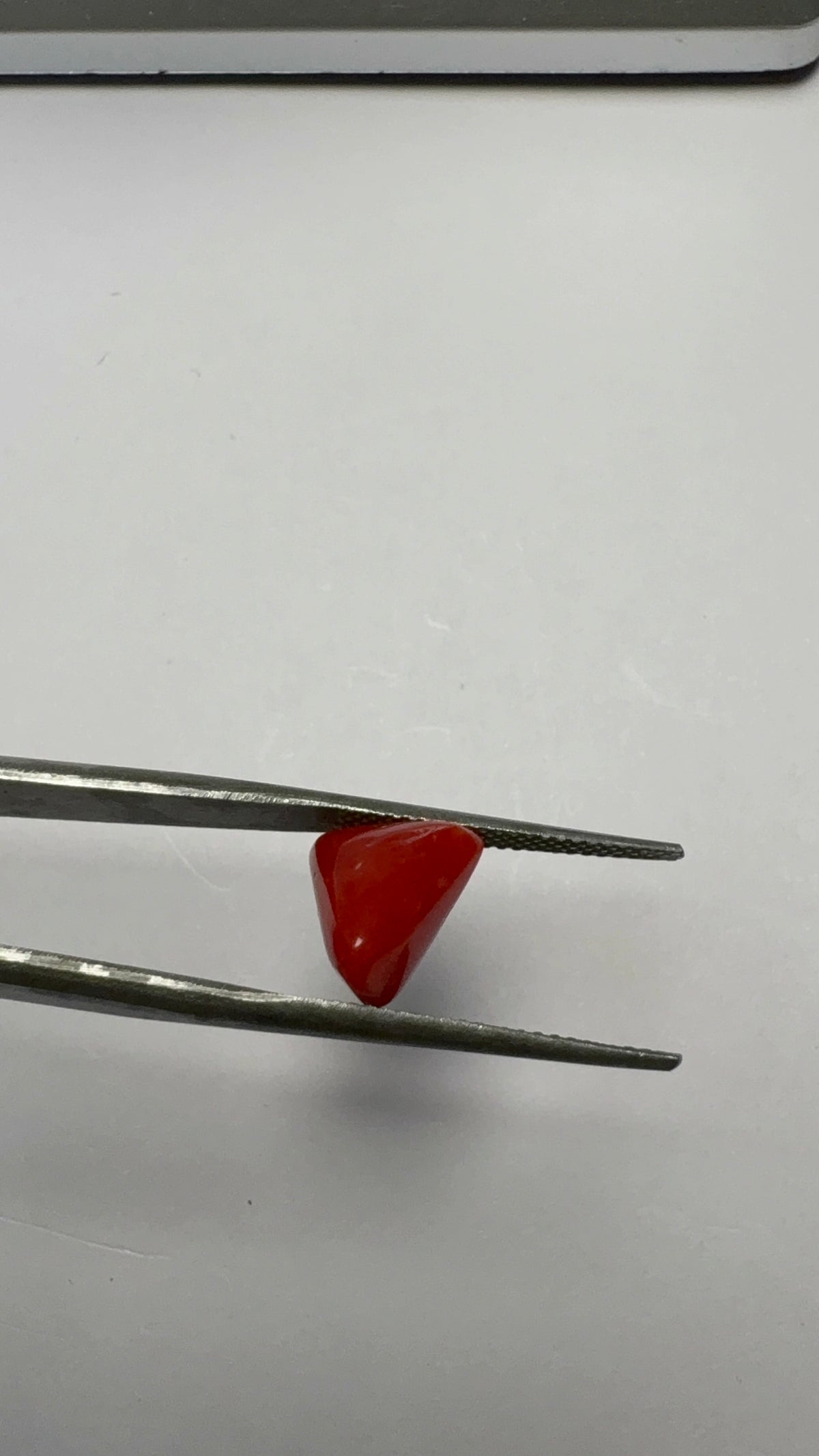 Red Coral 3.10 carat COR-140 close view