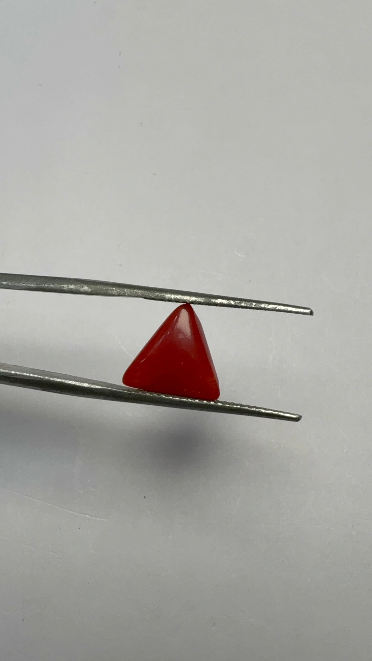 Red Coral 3.01 carat COR-141 close view