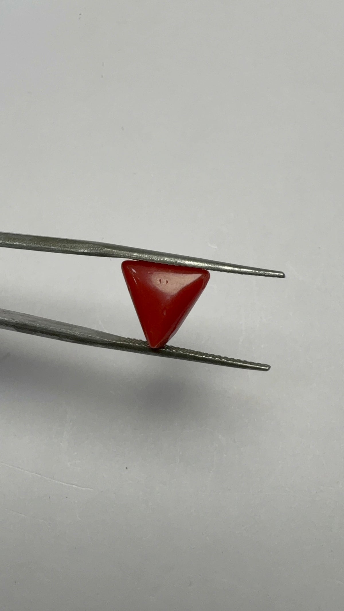 Red Coral 3.01 carat COR-141 angled view
