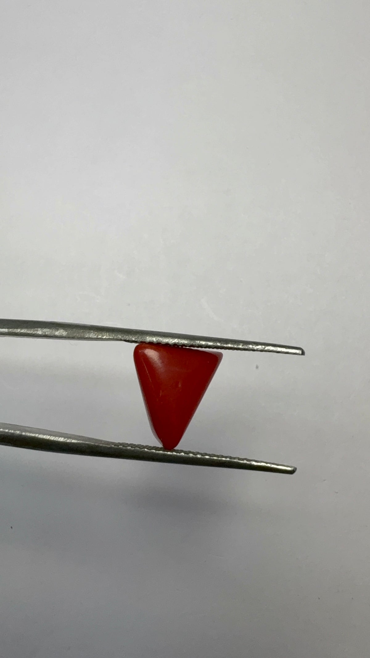 Red Coral 3.02 carat COR-144 close view