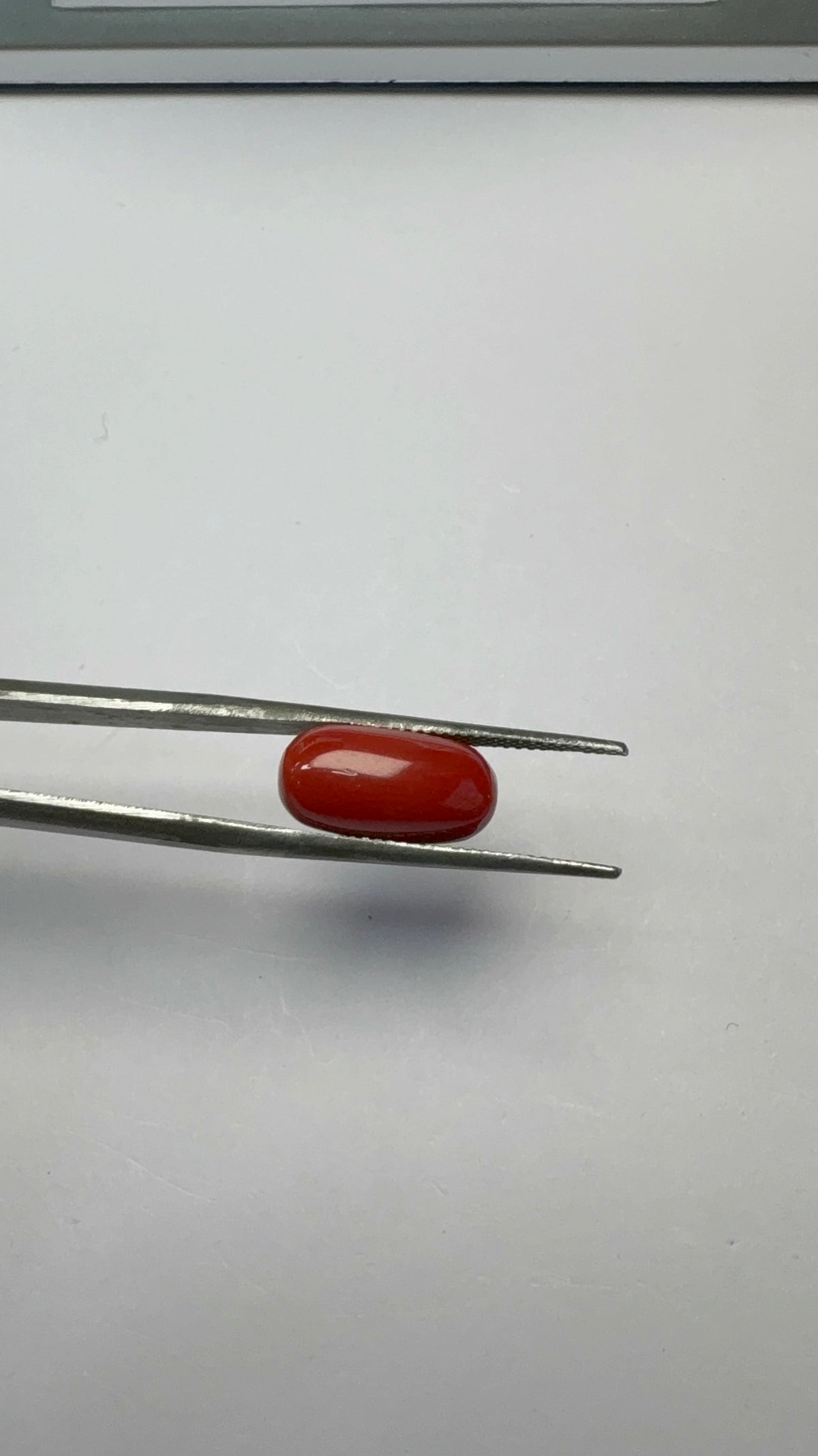 Red Coral 5.95 carat COR-154 close view