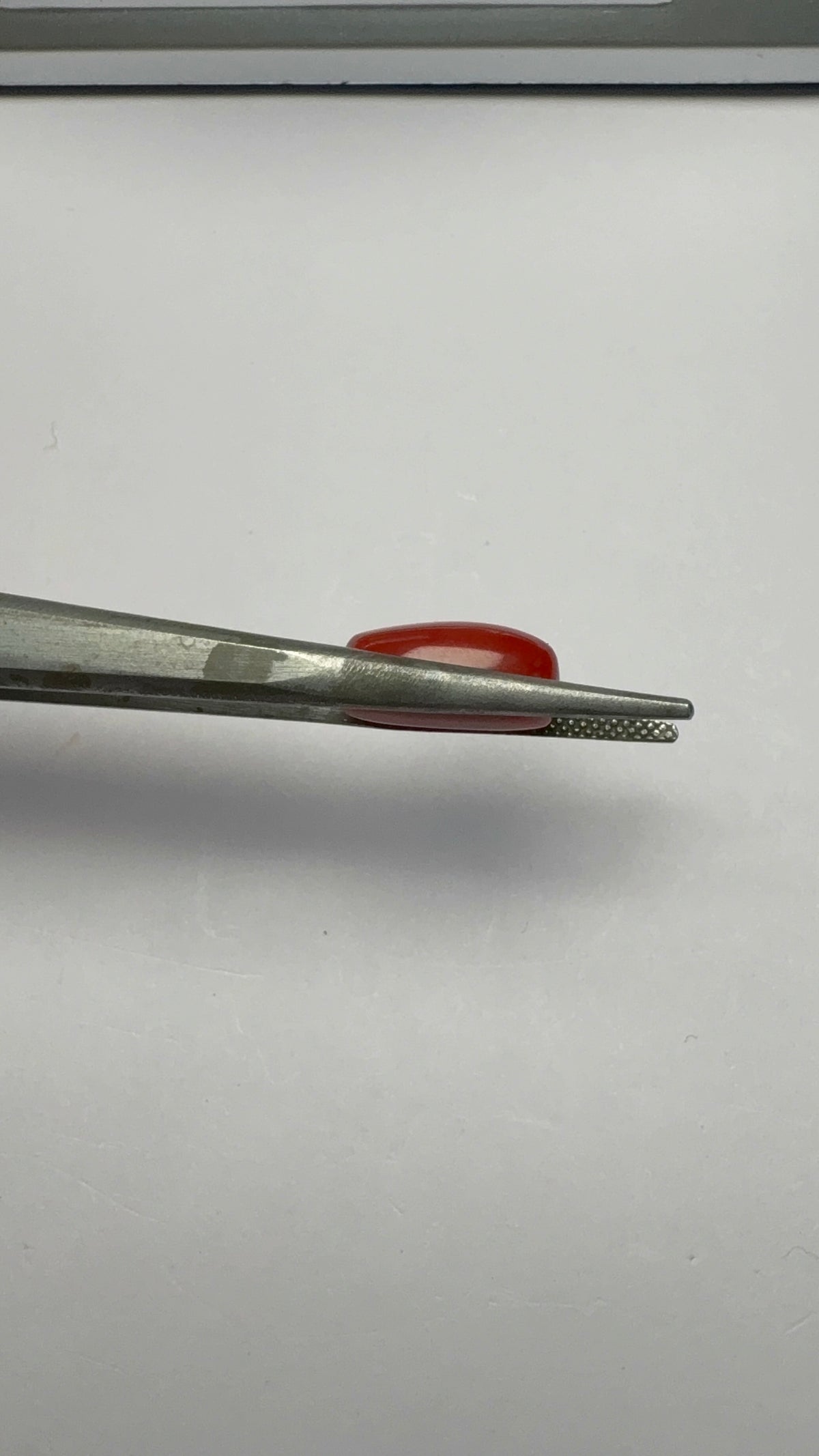 Red Coral 5.95 carat COR-154 angled view