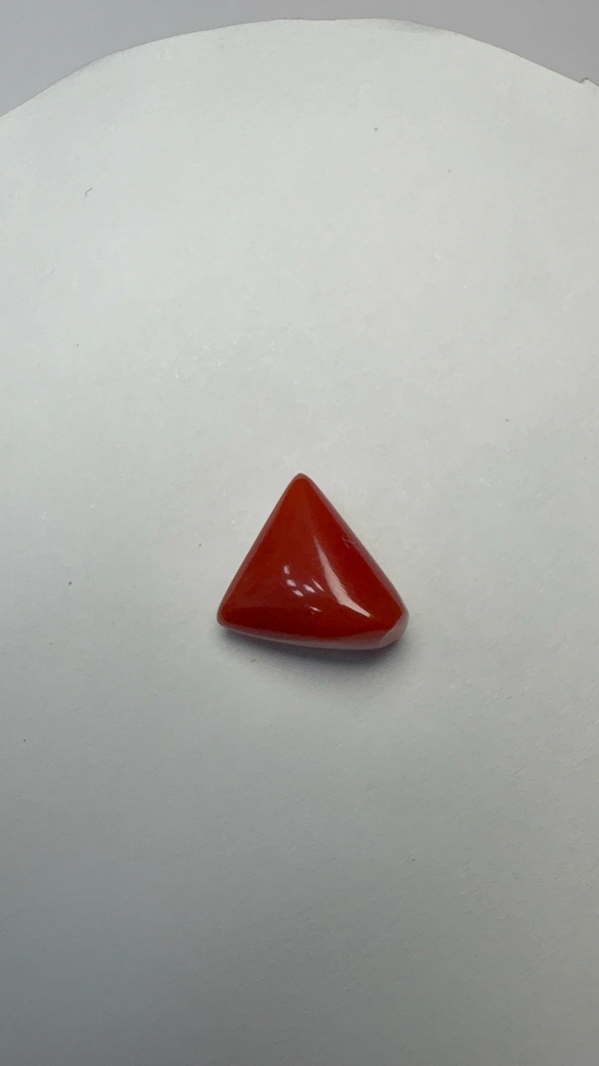 Red Coral 6.50 carat COR-157 front view