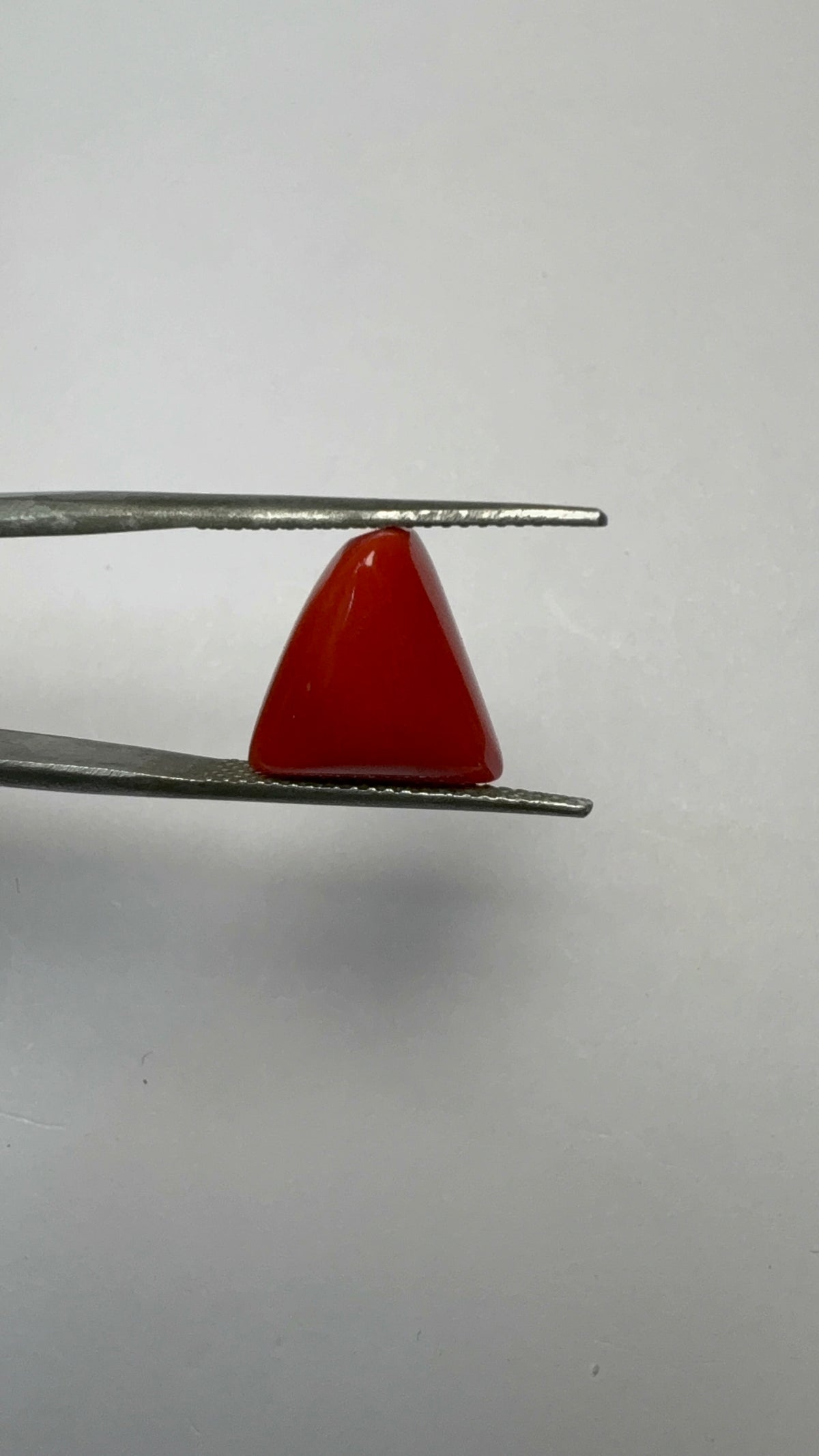 Red Coral 6.50 carat COR-157 close view