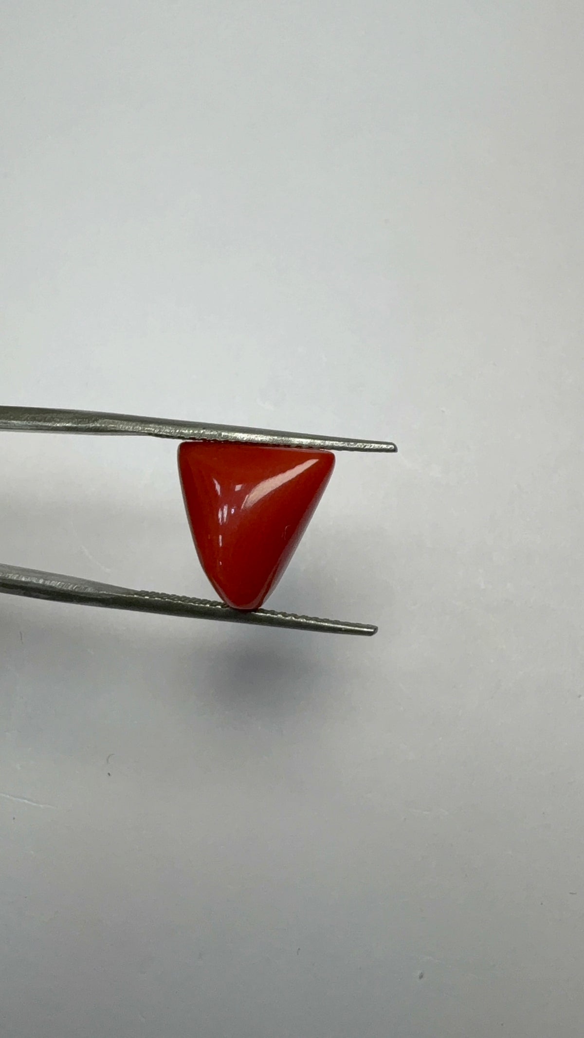 Red Coral 6.50 carat COR-157 angled view