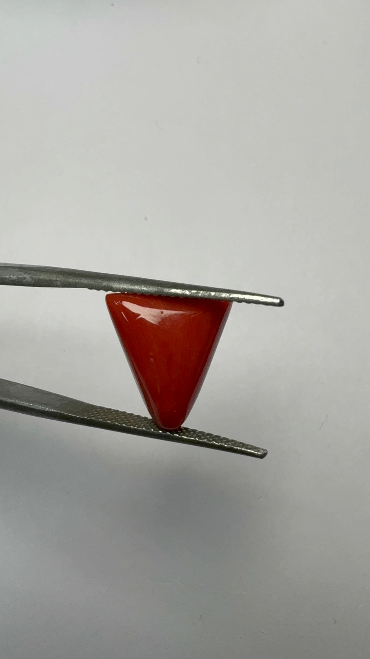 Red Coral 6.25 carat COR-159 close view