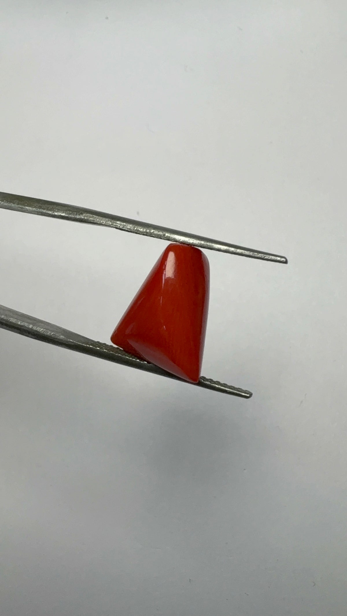 Red Coral 6.25 carat COR-159 angled view