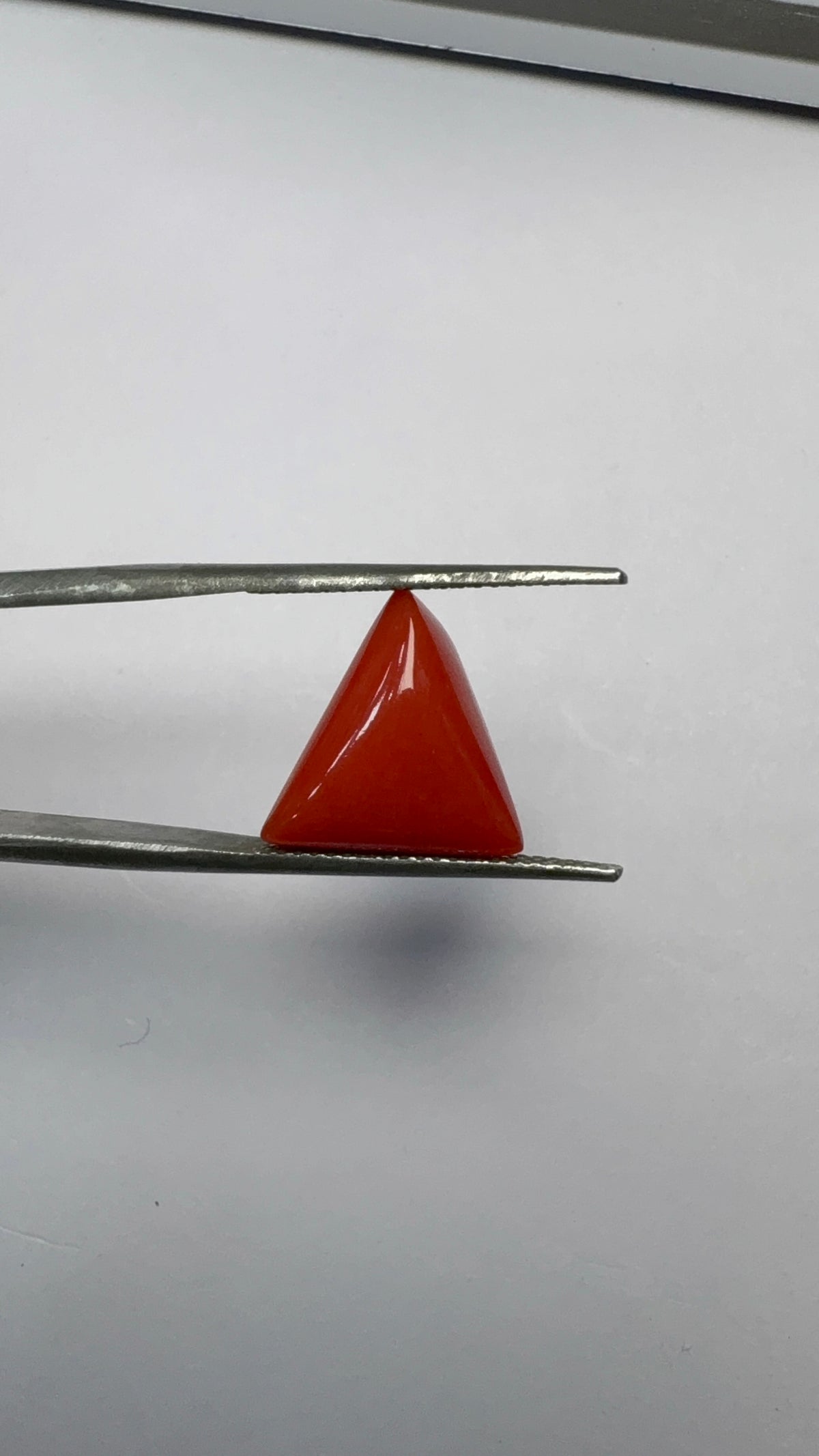 Red Coral 6.63 carat COR-160 close view