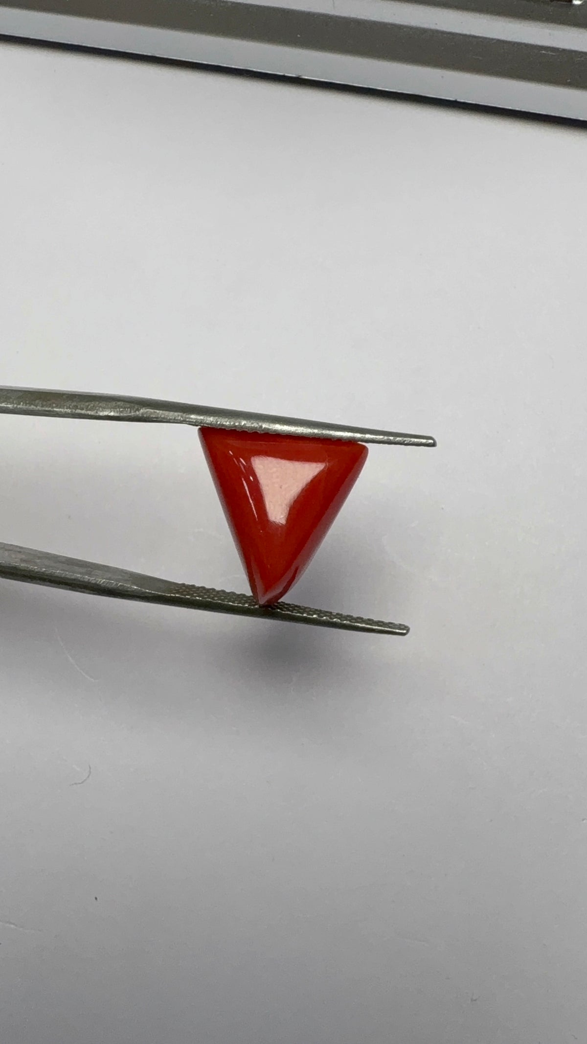 Red Coral 6.63 carat COR-160 angled view