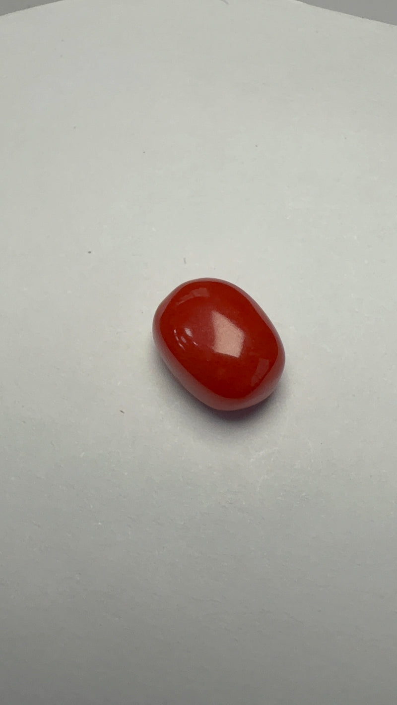 Red Coral – 4.65 Carat – Italy – Oval