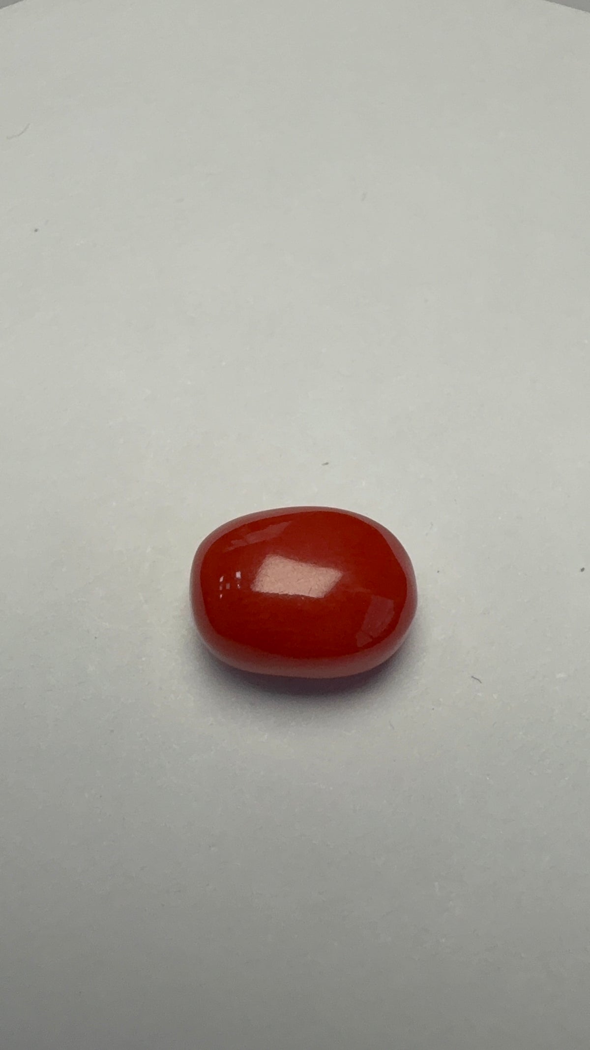 Red Coral 4.65 carat COR-164 face-up view